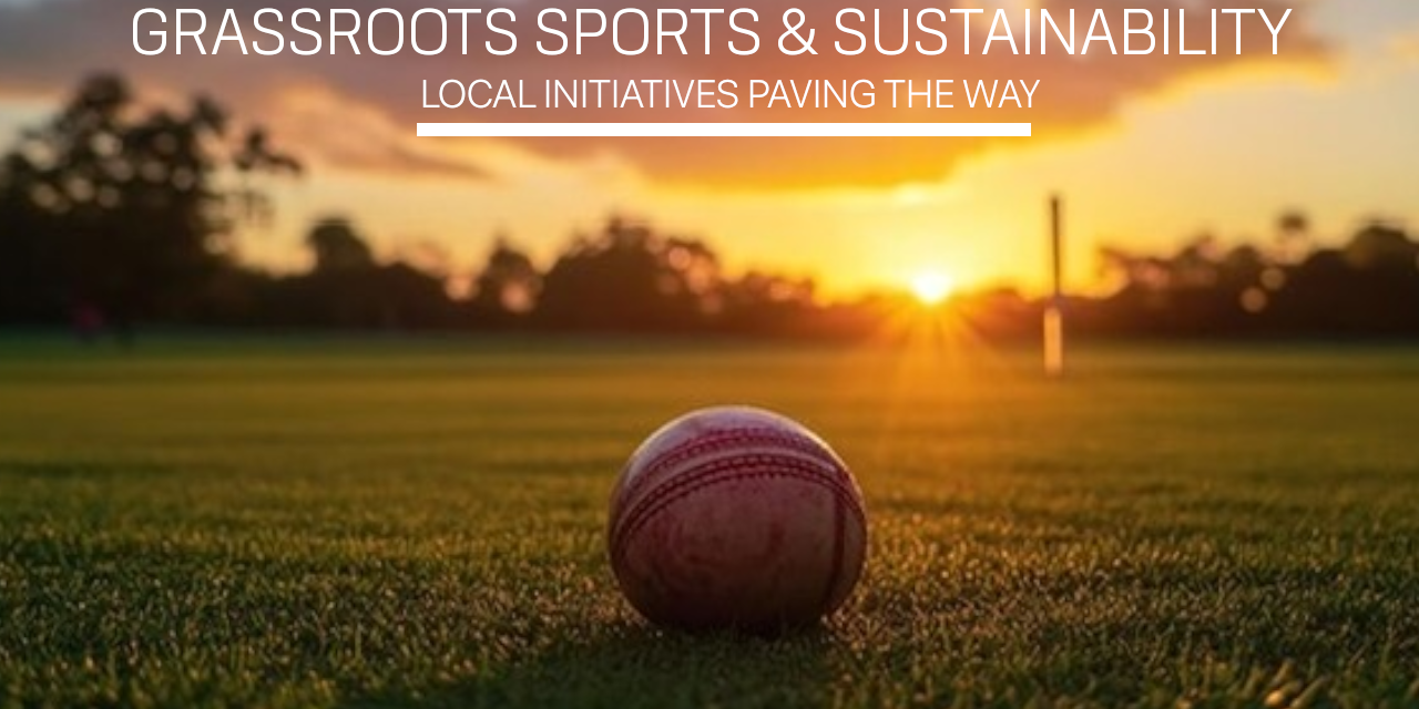 Grass-roots sports clubs are dying out?